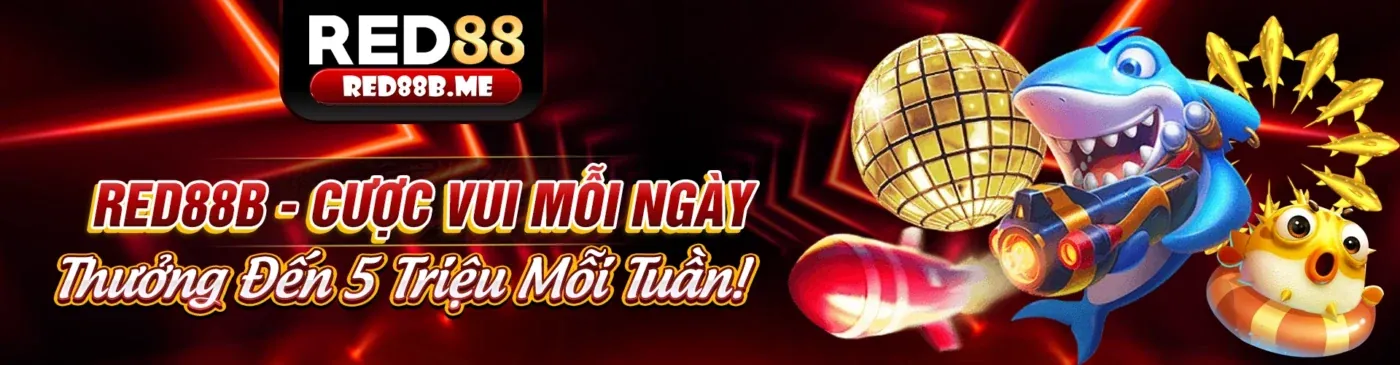 Hình ảnh đại diện cho Điều Khoản Dịch Vụ của ứng dụng q68bet